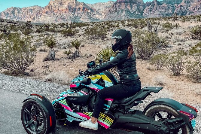 Private Guided Red Rock Tour On A CanAm Trike - Blue Diamond, burros, and a small cafe