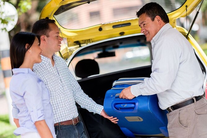Private One-way Transfer Harry Reid Airport To Las Vegas - Luggage, pets, and child seats