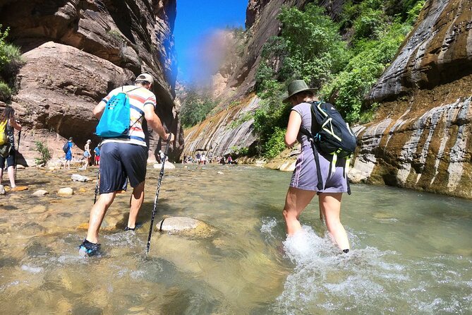 Private Tour: 7-Day Highlight Tour of Southwest Mighty Five - Day 1: Zion Canyon and the choice between effort and ease