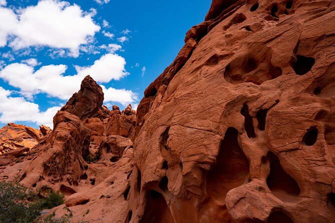 Private Tour: Valley of Fire Day Tour from Las Vegas - Atlatl Rock and ancient petroglyphs