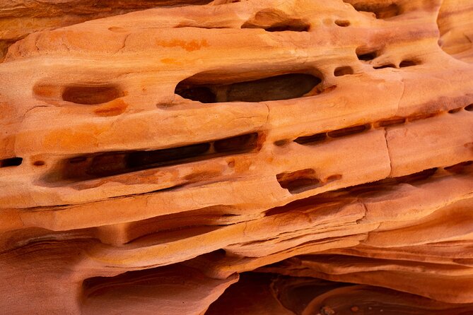 Private Tour: Valley of Fire Day Tour from Las Vegas - Who will enjoy this tour most?