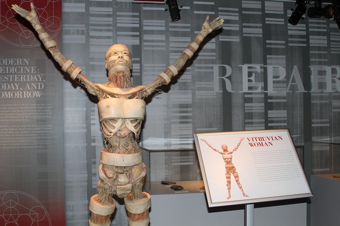 Real Bodies at Horseshoe Las Vegas - What the preserved bodies show you
