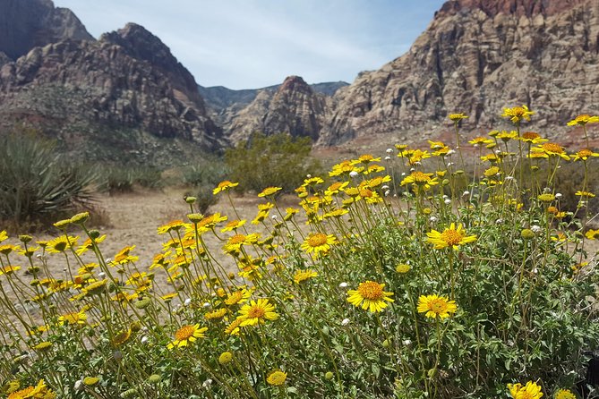 Red Rock Canyon eBike Half-Day Tour - What the pace feels like over 17 miles