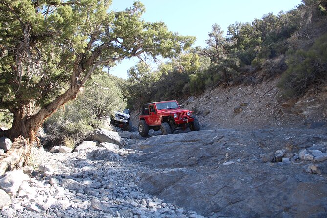 Red Rock Canyon Half Day Jeep Tour Offroad Adventure - Rocky Gap Trail and the 6,500-foot climb