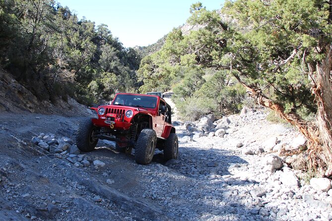 Red Rock Canyon Half Day Jeep Tour Offroad Adventure - Who should book this outing