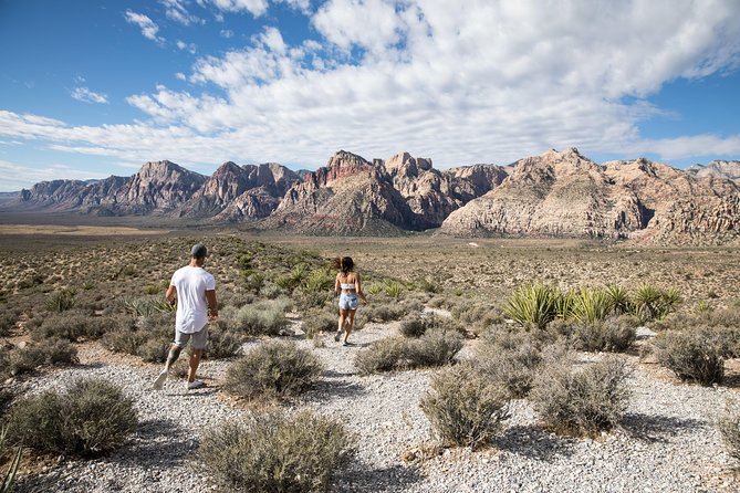 Red Rock Canyon Hike with Transport from Las Vegas - Red Sandstone, Mojave Plants, and Open Nevada Views