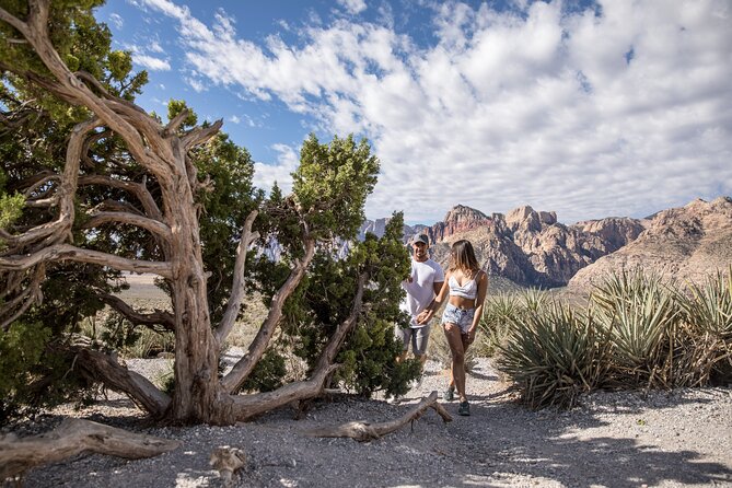 Red Rock Canyon Scooter Tour from Las Vegas - The 13-mile Red Rock scenic loop