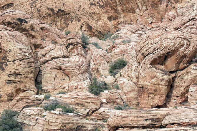 Red Rock Canyon Self-Guided Driving Audio Tour - Bird-watching and the open desert view