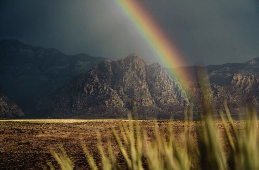 Red Rock Canyon Sign& Seven Magic Mountains Tour - Key Points