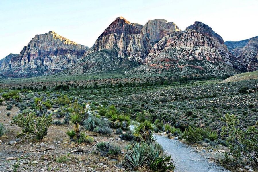 Red Rock Canyon Sign& Seven Magic Mountains Tour - What to Bring for the Desert Stops
