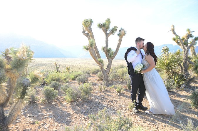 Red Rock Canyon Wedding by Private Limousine - Flowers, Champagne, and the small wedding details