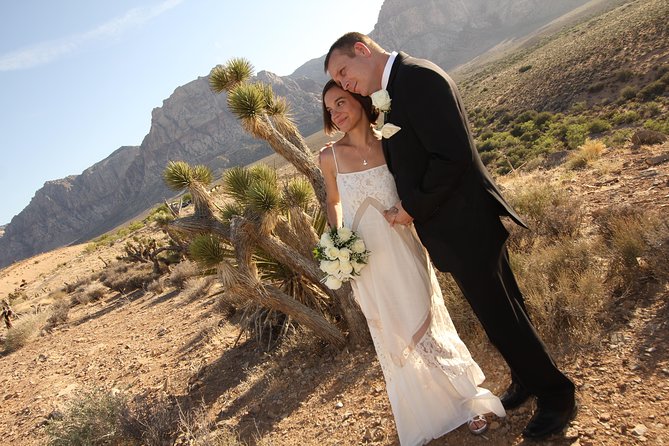 Red Rock Canyon Wedding by Private Limousine - The price and the extra charges need careful checking
