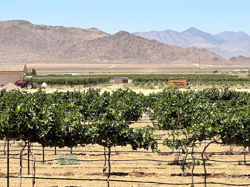 Scenic Desert Wine, Distillery Tastings/Brewery/RT66 & Lunch - Leaving Las Vegas for Arizona’s high desert