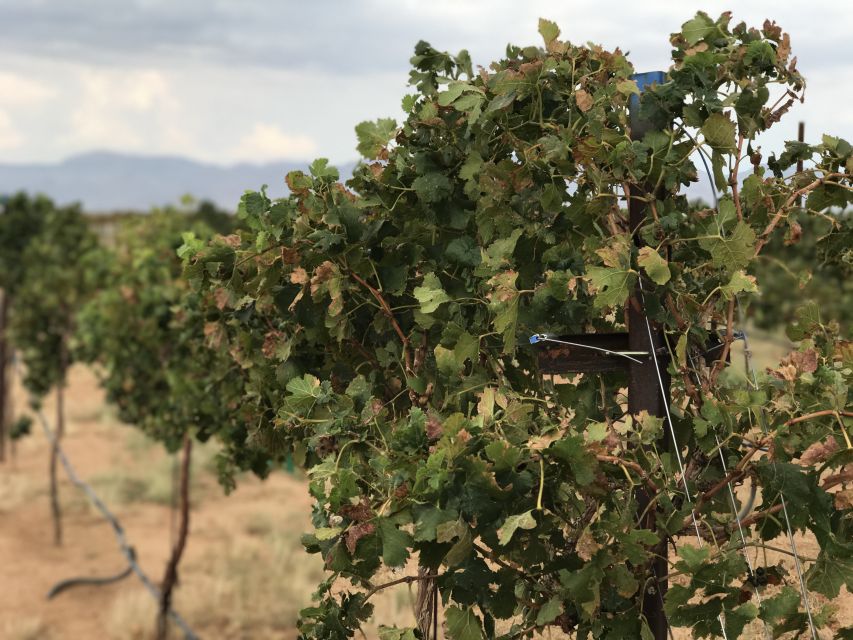 Scenic Desert Wine, Distillery Tastings/Brewery/RT66 & Lunch - Desert Diamond Distillery puts spirits on the route