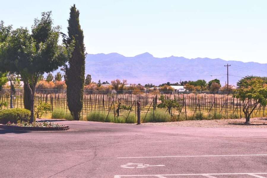 Scenic Las Vegas / Pahrump Wine Tasting Tour and Food - Pahrump offers a very different Nevada mood