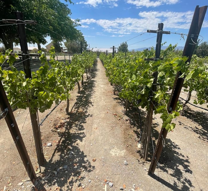 Scenic Las Vegas / Pahrump Wine Tasting Tour and Food - What the $154 price really covers