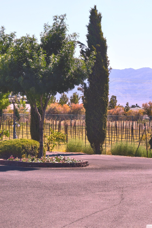 Scenic Las Vegas / Pahrump Wine Tasting Tour and Food - First winery stop: local bottles and a relaxed tasting