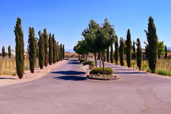 Scenic Wine Tasting Tour from Las Vegas with Food - What makes the food and drinks useful