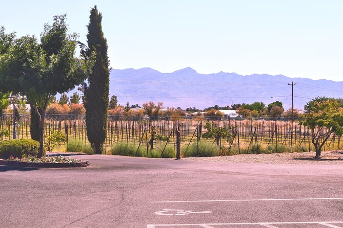 Scenic Wine Tasting Tour from Las Vegas with Food - Artesian Cellars and the first tasting
