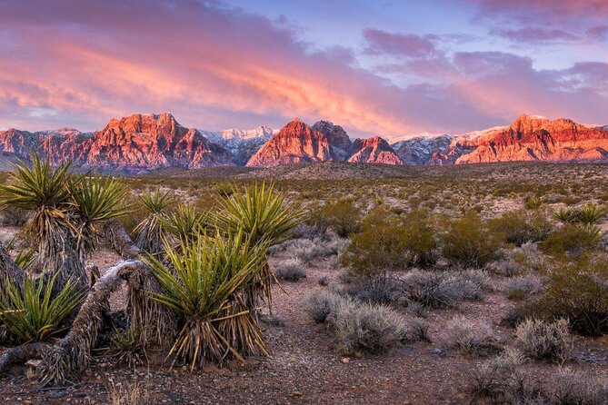 Scooter Tours of Red Rock Canyon - Key points before you book