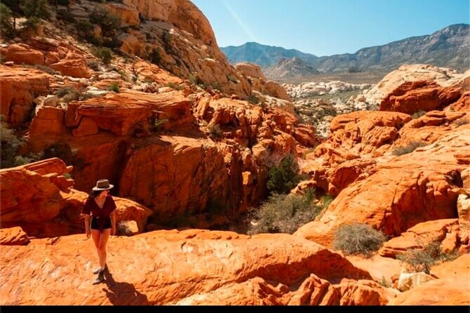 Shared Tour in Red Rock Canyon - Leaving the Strip for Red Rock Country
