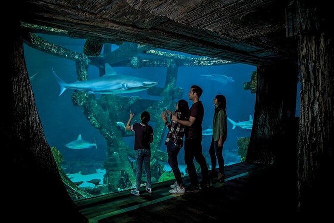 Shark Reef at Mandalay Bay Hotel and Casino - Is $29.75 a fair Las Vegas price?