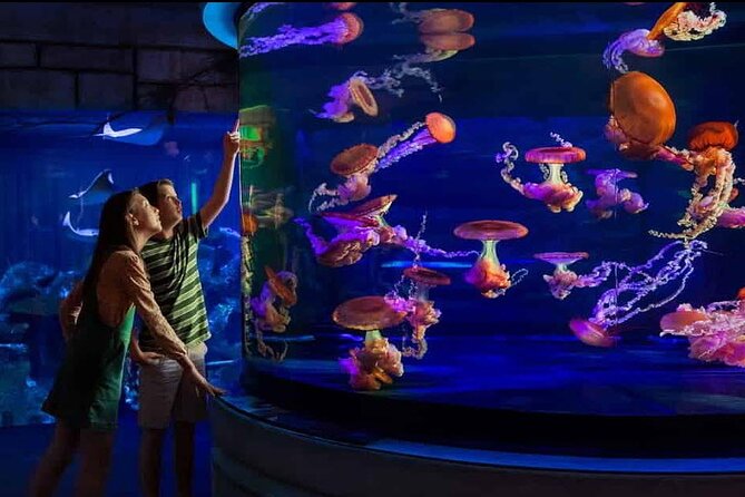 Shark Reef at Mandalay Bay Hotel and Casino - The Touchpool gives children something to do