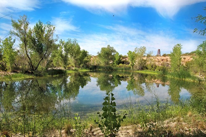 Skip the Line: Springs Preserve in Las Vegas Admission Ticket - Start with the Springs Preserve grounds