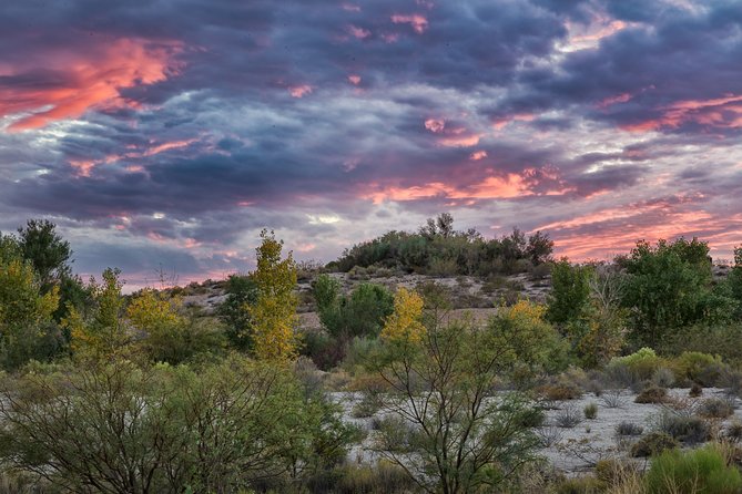 Skip the Line: Springs Preserve in Las Vegas Admission Ticket - Indoor exhibits make hot-weather visits workable
