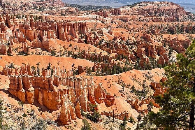 Small Group Day Tour To Explore Bryce Canyon & Zion National Park - Bryce Canyon Scenic Drive and the hoodoo amphitheater