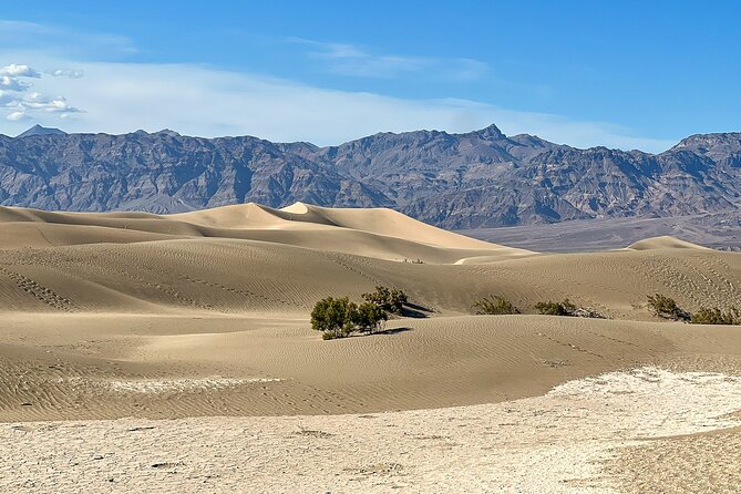 Small Group Family Tour at the Death Valley from Las Vegas - What the small group and guide add