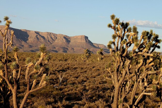 Small Group Grand Canyon, Hoover Dam and 7 Magic Mountains Tour - Guano Point and the Highpoint Hike