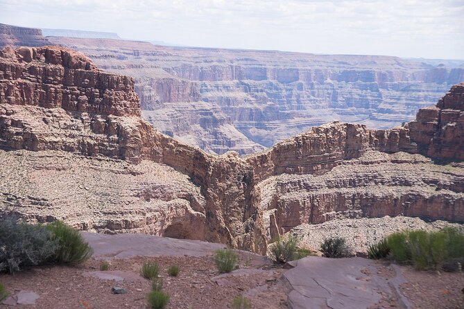 Small Group Grand Canyon, Hoover Dam and Joshua Tree Forest Tour - Who will get the most from this tour?