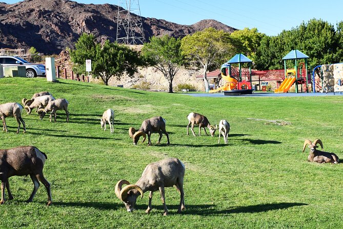 Small-Group Hoover Dam Tour from Las Vegas - Who will enjoy this Hoover Dam tour most?