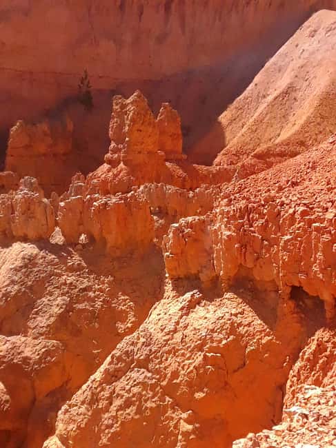 Small Group Tour Zion & Bryce Canyon National from Las Vegas - Two National Parks Before Dinner