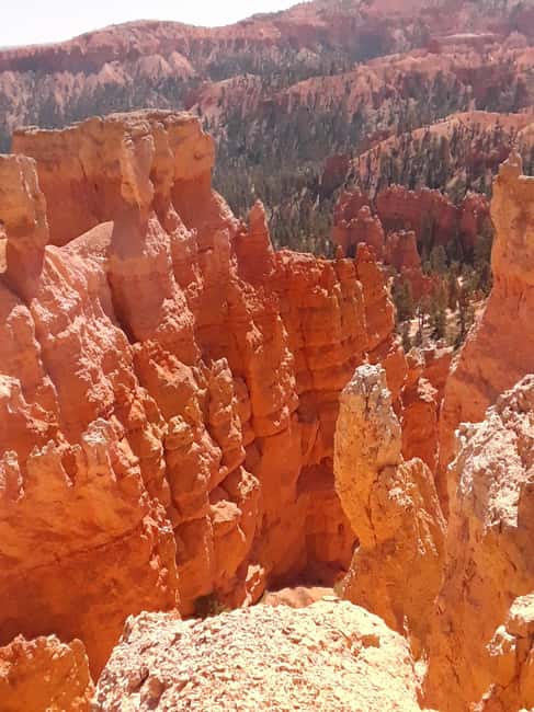 Small Group Tour Zion & Bryce Canyon National from Las Vegas - The 5:30 am Start From Las Vegas
