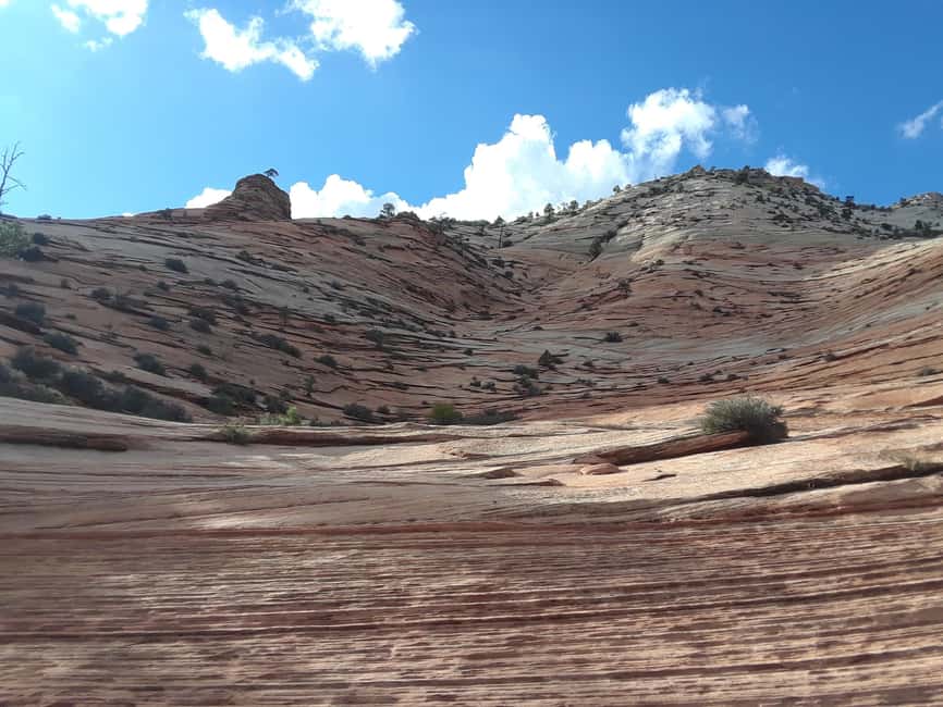 Small Group Tour Zion & Bryce Canyon National from Las Vegas - What the $229 Price Really Covers