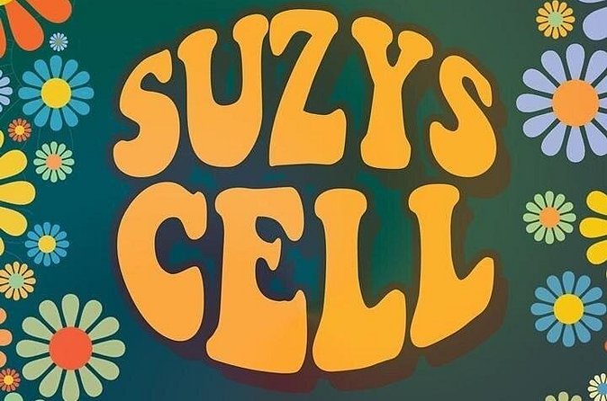 Suzys Cell Escape Game - Suzy’s Las Vegas story sets the tone