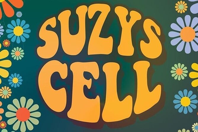 Suzys Cell Escape Game - What happens during the one-hour game