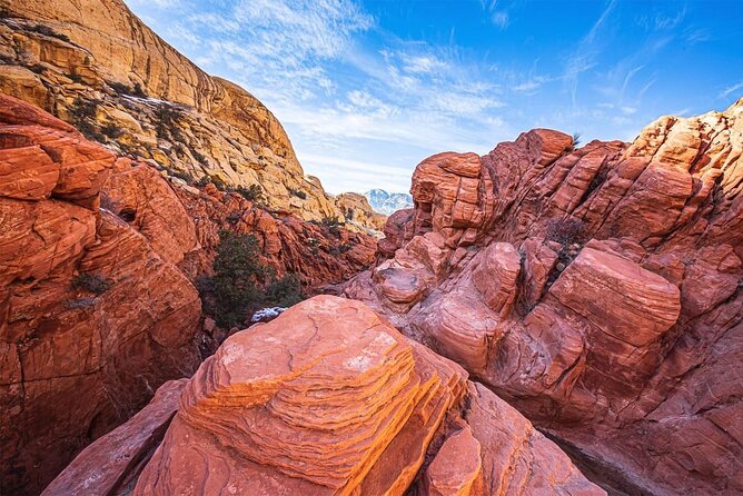 The “As Seen on TV” Panoramic Red Rock Canyon Scenic Loop Tour - The orange van and the small-group feel