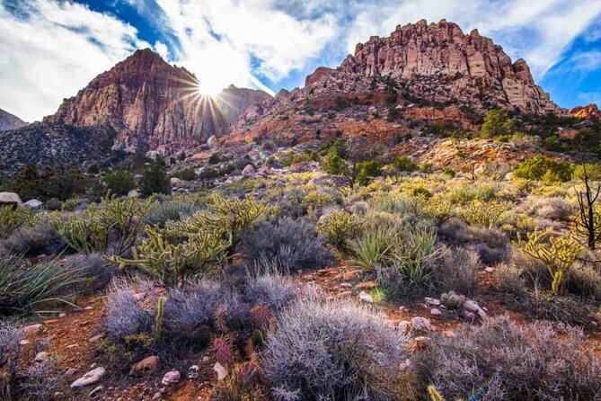 The Ultimate Red Rock Canyon Scenic Experience - Guides, group size, and the pickup routine