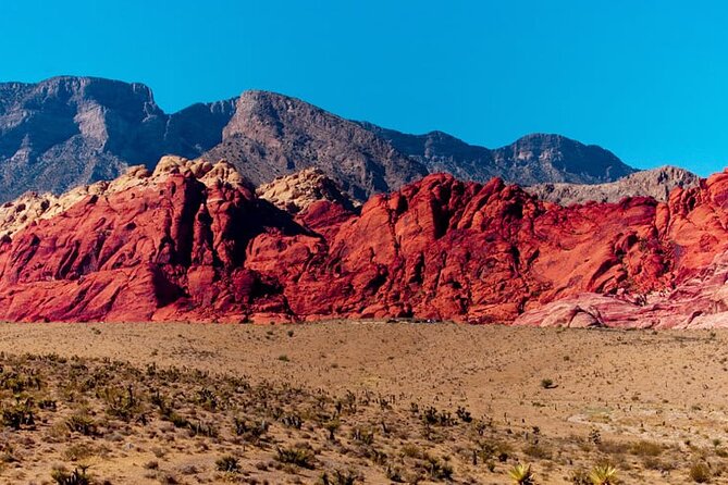 The Ultimate Red Rock Canyon Scenic Experience - Who should book this Red Rock tour?