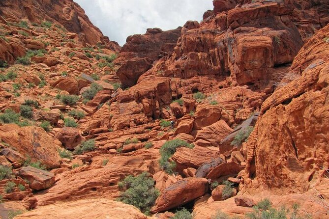 The Ultimate Red Rock Canyon Scenic Experience - Final call: a strong choice for a varied half-day