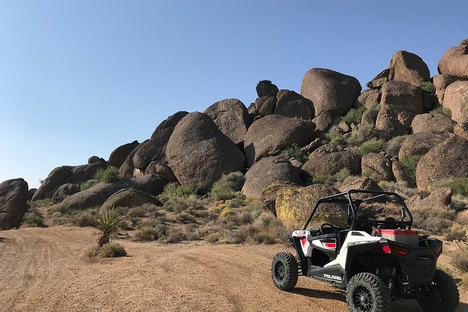 Ultimate Hidden Valley and Primm RZR Adventure from Las Vegas - What the Ride Feels Like
