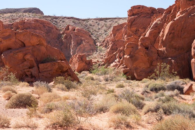 Valley of Fire 3-Hour ATV Tour from Las Vegas - Booking details worth checking