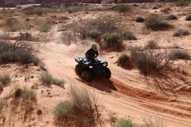 Valley of Fire 3-Hour ATV Tour from Las Vegas - What makes Valley of Fire special
