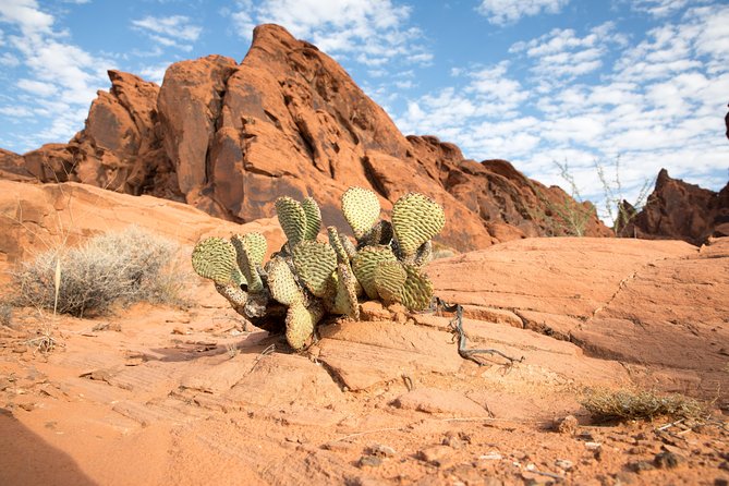 Valley of Fire and Lost City Museum Tour from Las Vegas - Three hours among arches, cliffs, and petroglyphs
