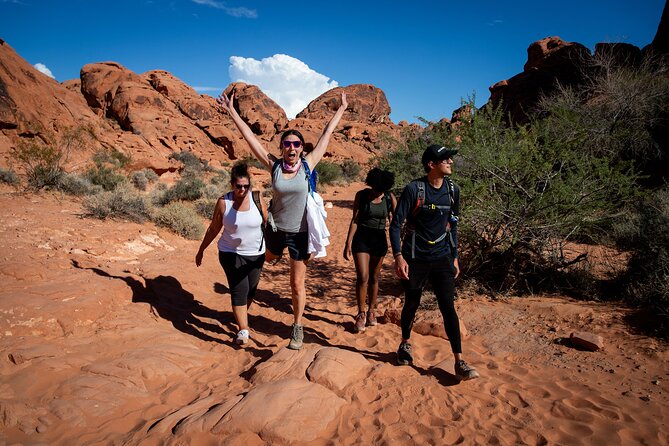 Valley of Fire Guided Hiking Tour and Mojave Desert Adventure - Key points to know before booking