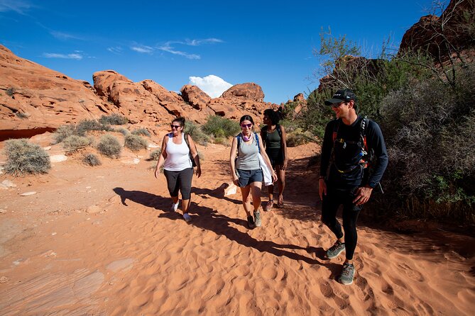 Valley of Fire Guided Hiking Tour and Mojave Desert Adventure - A 7:00 am pickup keeps the desert portion manageable