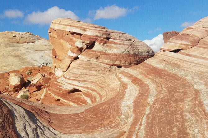 Valley of Fire Guided Hiking Tour From Las Vegas - Petroglyphs, petrified trees, and older Nevada